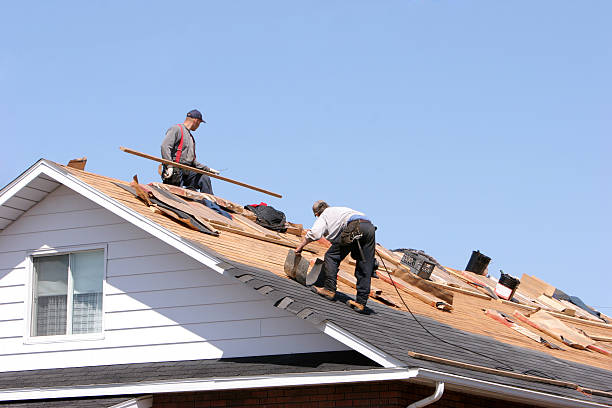 Best Rubber Roofing (EPDM, TPO)  in Agler Estates, FL
